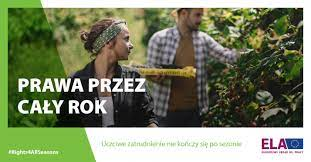 kampania ELA osoby pracujące przy zbiorach